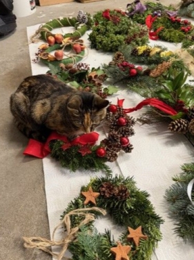 Hands-on-Projekt Türkränze binden November 2025